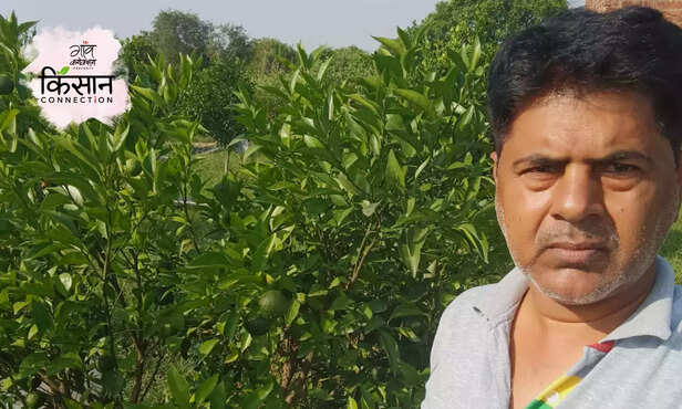 366946-gardening-mango-guava-tree-plantation-adopt-plant-kanpur-uttar-pradesh-horticulture-4