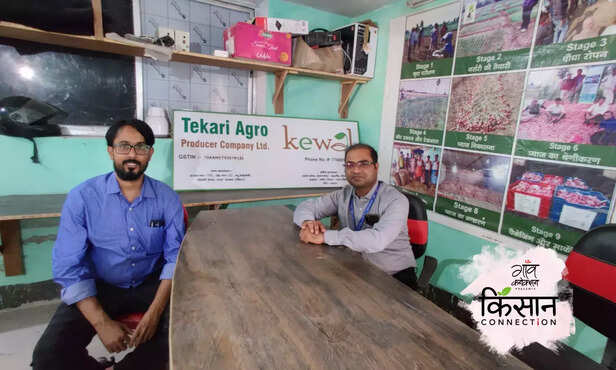 364285-mushroom-cultivation-gaya-bihar-sumarth-nabard-marketing-farming-training-1