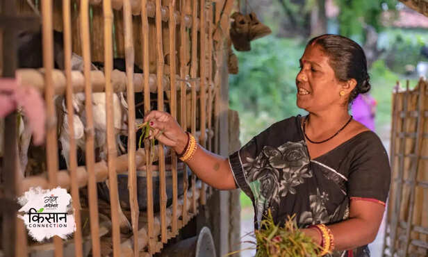 366927-black-bengal-goat-odisha-bihar-heifer-india-self-help-groups-womens-empowerment-6