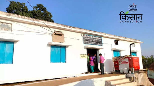 363499-millet-kodo-kutki-dindori-madhya-pradesh-tribal-women-self-help-group-1