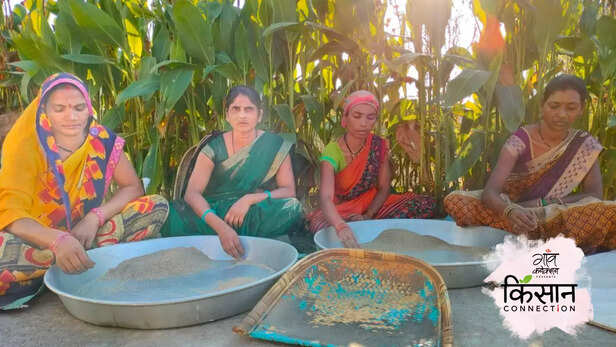 363501-millet-kodo-kutki-dindori-madhya-pradesh-tribal-women-self-help-group-5