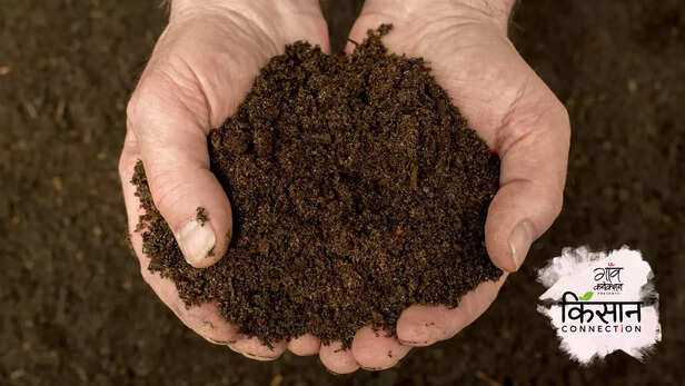 364159-button-mushroom-cultivation-guide-growing-training-compost-marketing-full-information-5