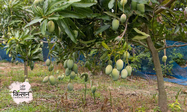 370875-hero-image-42