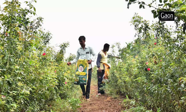 363373-untitled-design-30