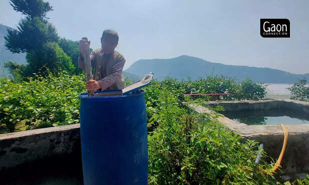 363356-untitled-design-27