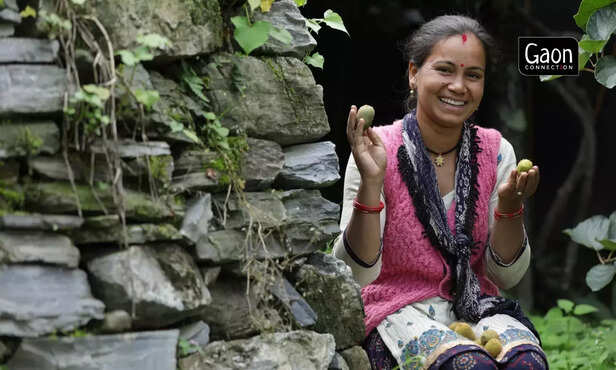 363332-untitled-design-18