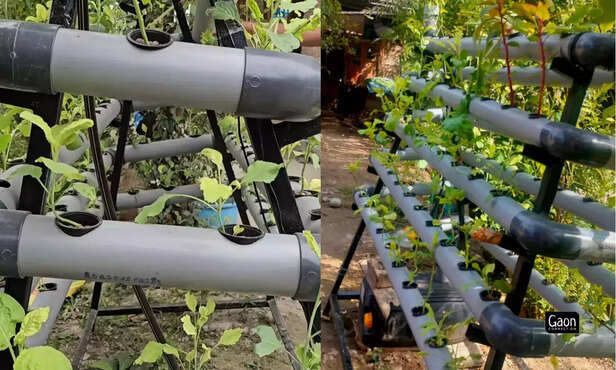 368617-stories-published-on-web-26