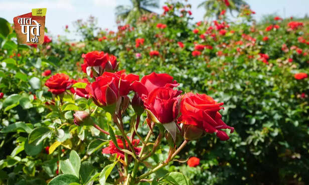 369805-hero-image-36