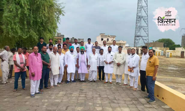 367932-cotton-pink-bollworm-rajasthan-haryana-farmers-ganganagar-compensation-4