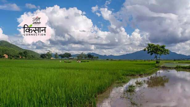 364512-gaon-moment-2023-04-05t150231555