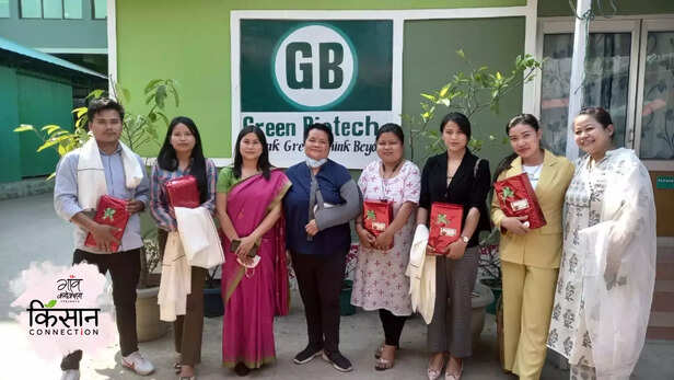 364520-organic-black-rice-organic-pineapple-vermicomposting-bio-solutions-chemical-free-farming-manipur-organic-mission-agency-5