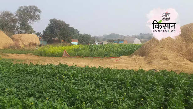 364373-gaon-moment-2023-03-31t171758849