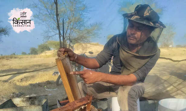 370423-beekeepers-honey-production-rajasthan-women-farmers-startup-sweet-revolution-1