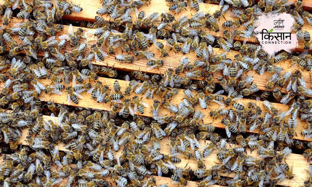 370426-hero-image-70