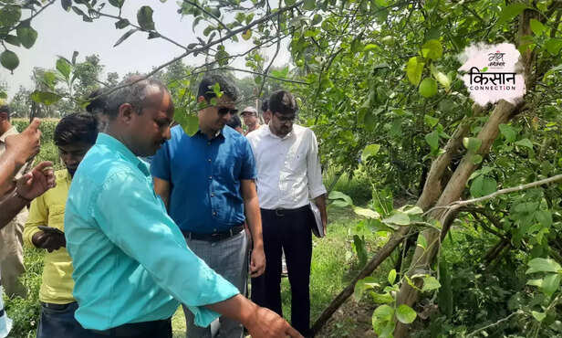 368800-hero-image-2023-11-01t152030971