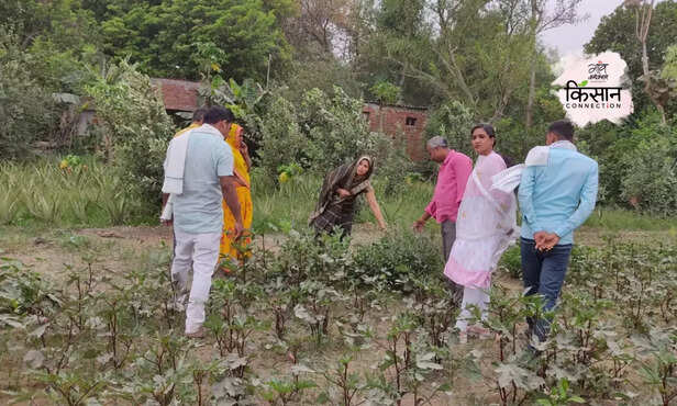 368801-hero-image-2023-11-01t152104432