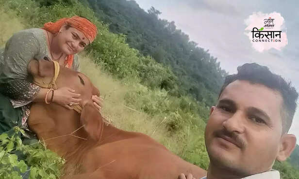 369004-himachal-pradesh-prakritik-kheti-natural-farming-kangra-district-farmer-producer-company-1