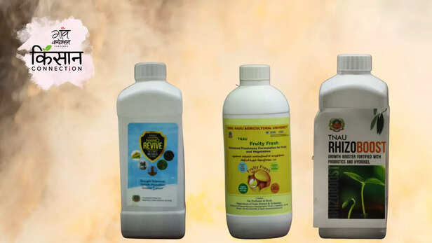 363784-gaon-moment-2023-02-24t152358187