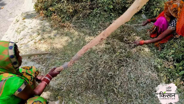 366652-women-farmers-uttar-pradesh-heatwave-health-climate-change-women-farm-labourers-livelihood-1