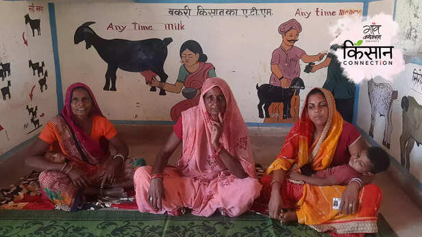 363745-goat-farming-self-help-group-dholpur-rajasthan-goat-farm-training-women-empowerment-4