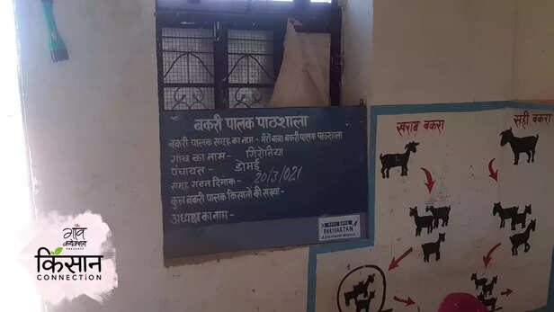 363747-goat-farming-self-help-group-dholpur-rajasthan-goat-farm-training-women-empowerment-2