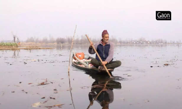 363666-untitled-design-76