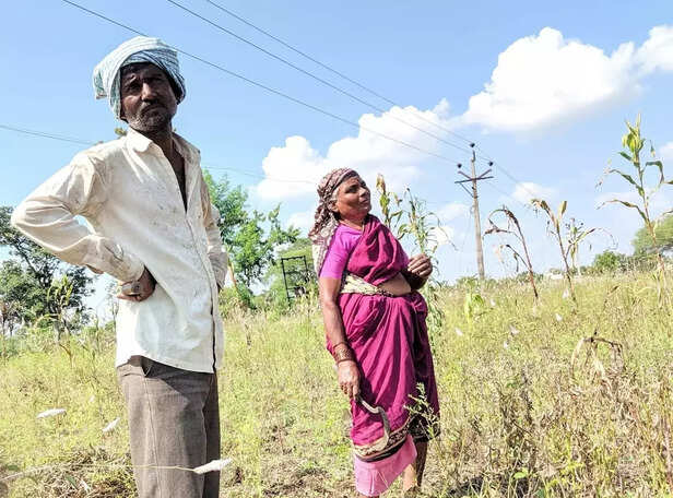 354436-digital-platform-kisan-sarathi-launched-farmers-right-information-at-right-time-in-their-desired-language