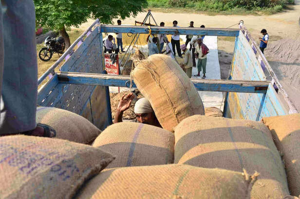 352612-avp1263-scaled