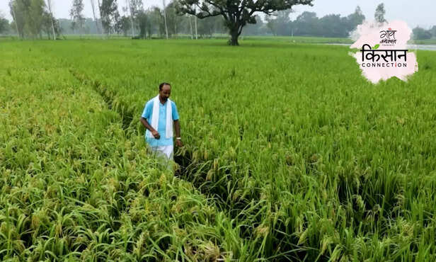 366461-hero-image-33