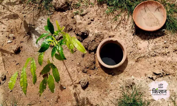 367845-pot-irrigation-raichur-karnataka-farmers-clay-pots-rainfall-climate-change-drip-irrigation-2