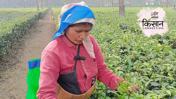 364625-gaon-moment-2023-04-11t140856708