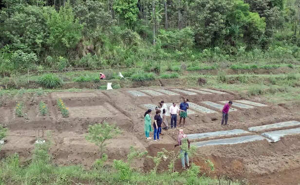 366090-kerala-farming-dd