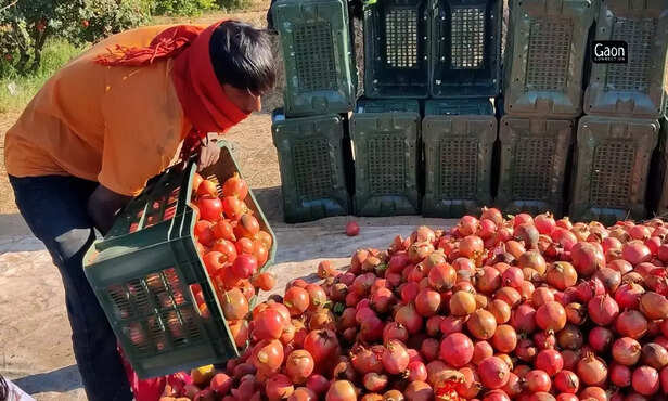 364191-untitled-design-2023-03-22t184043463