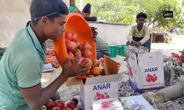 364190-untitled-design-2023-03-22t184023229