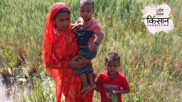 363957-uttar-pradesh-chandauli-rural-north-india-heat-wave-summer-rabi-crop-wheat-farmers-flood-canal-1