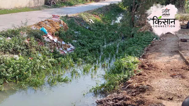 363958-uttar-pradesh-chandauli-rural-north-india-heat-wave-summer-rabi-crop-wheat-farmers-flood-canal-3