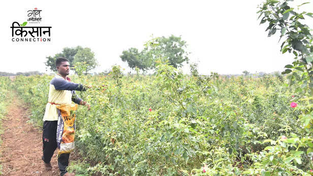 363362-gaon-moment-2023-02-03t133212614