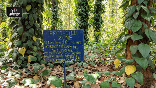 365291-gaon-moment-28