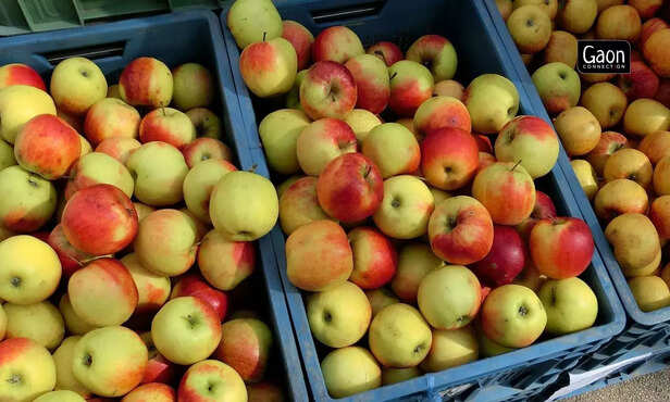 363733-untitled-design-92