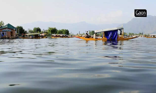 363734-untitled-design-95