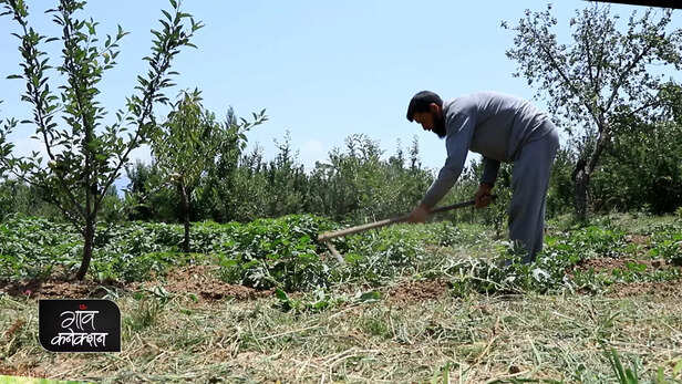 363743-farmer-producer-organisations-farmer-producer-company-policy-process-guidelines-2