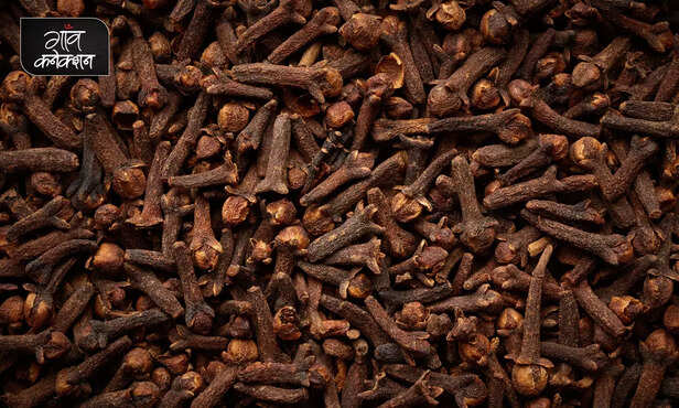 362587-clove-beneficial-cholesterol-diabetes-metabolic-disorders-cardiovascular-diseases-diabetes-glutathione-antioxidant-1