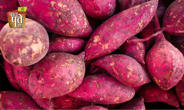 368742-sweet-potato-detecting-rhodamine-b-adulteration-food-authority-1