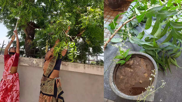 364754-gaon-moment-14