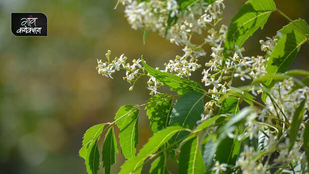 364755-gaon-moment-15