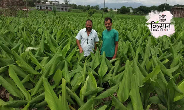 366487-hero-image-35