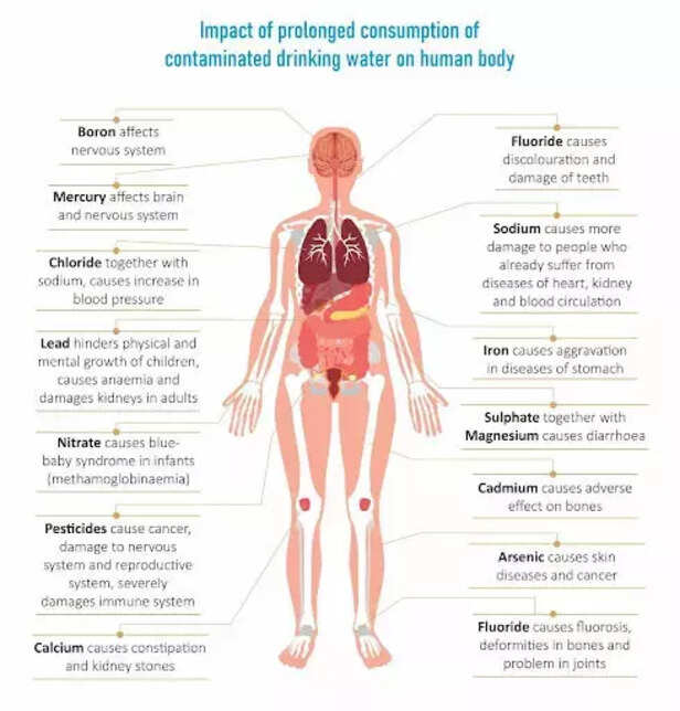 357337-whatsapp-image-2022-01-11-at-20619-pm