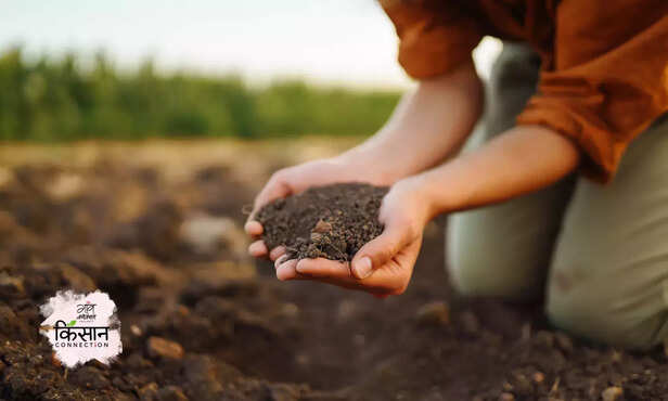 369639-humic-acid-cow-dung-cake-organic-liquid-fertilizer