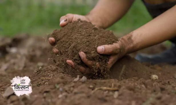 369640-humic-acid-cow-dung-cake-organic-liquid-fertilizer-3