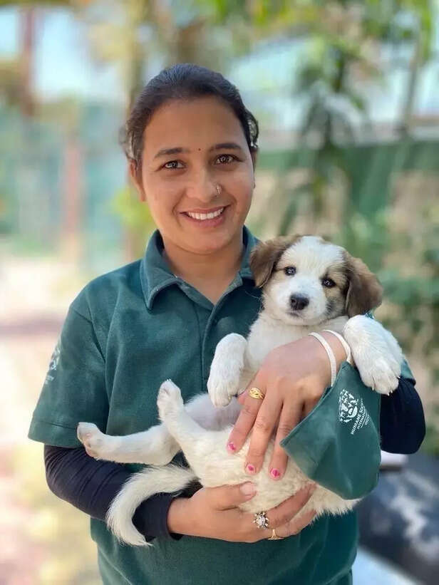 370708-holi-festival-celebration-colors-pet-dog-care